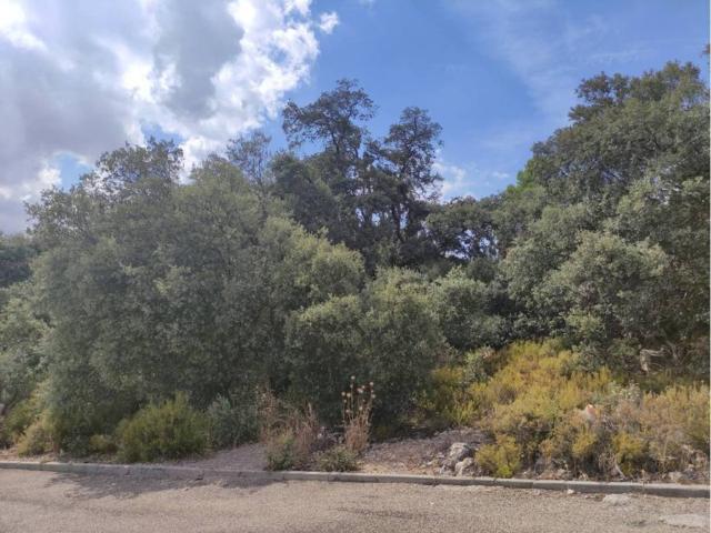 Terreno en venta en Fuentenovilla, Castilla-La Mancha