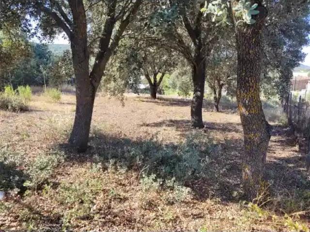 Terreno en venta en Fuentenovilla, Castilla-La Mancha