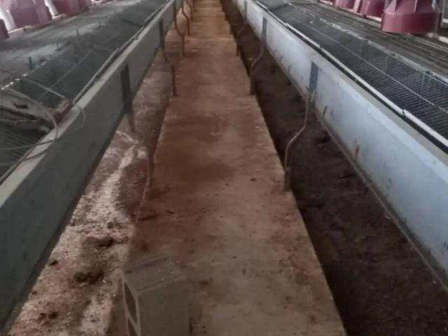 Terreno en venta en La Plana de Utiel-Requena, Valencia
