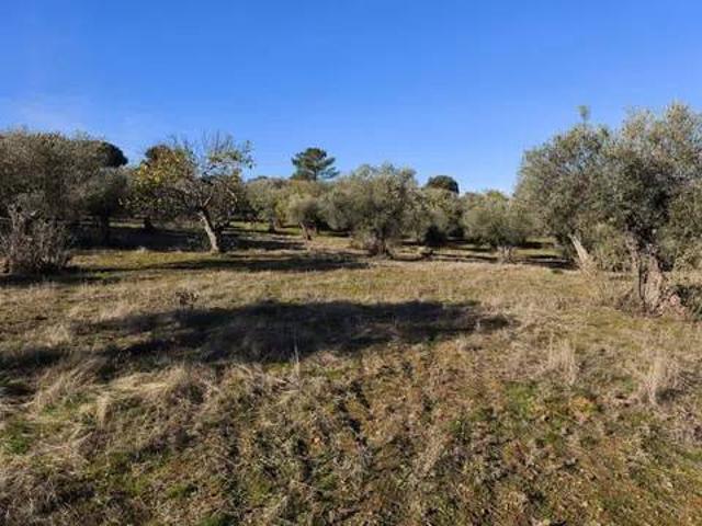 Terreno en venta en Segura De León, Extremadura