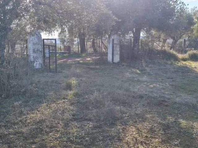 Terreno en venta en Segura De León, Extremadura