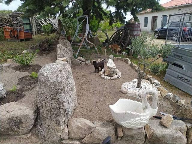 Terreno en venta en Fuentes De Oñoro, Castilla y León