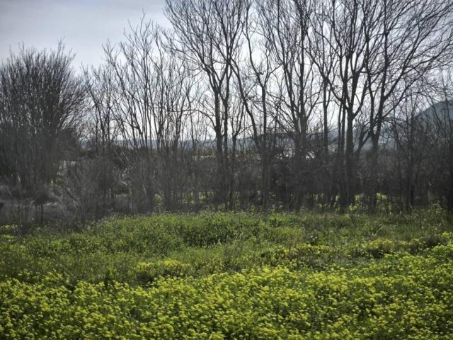 Terreno en venta en Gádor, Andalucía