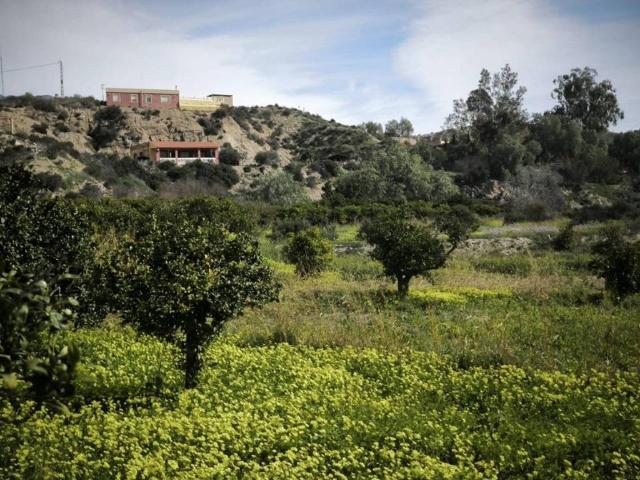 Terreno en venta en Gádor, Andalucía