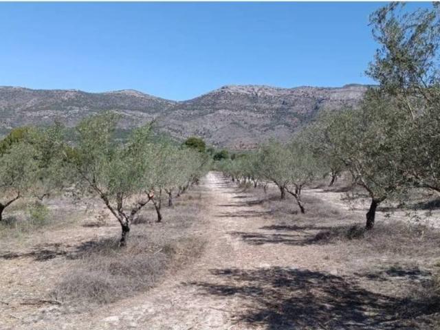 Terreno en venta en el Comtat, Valencia