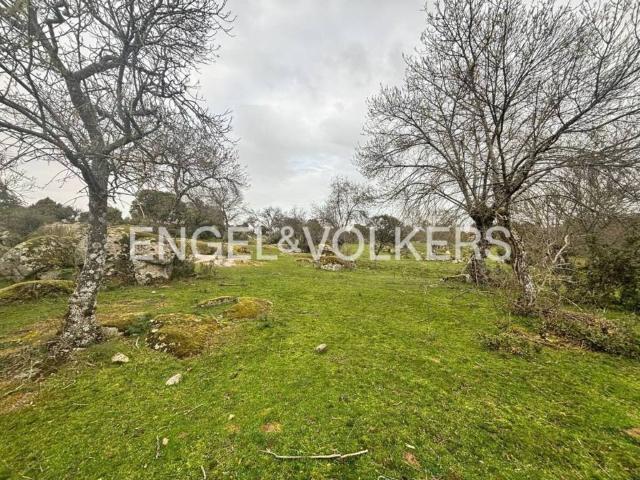 Terreno en venta en Galapagar, Madrid