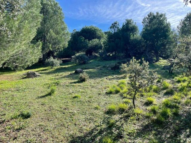 Terreno en venta en Galapagar, Parquelagos