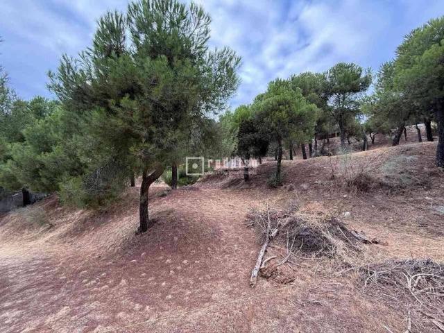 Terreno en venta en Galapagar, Madrid