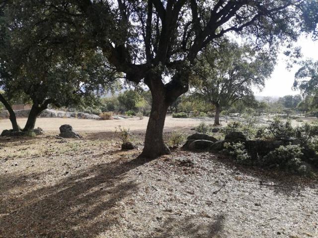 Terreno en venta en Galapagar, Urbanización San Gregorio