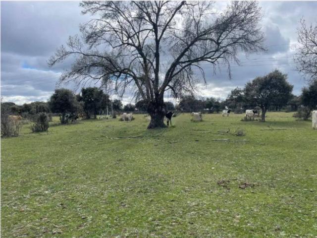 Terreno en venta en Galapagar, España