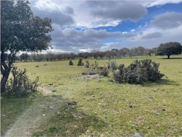 Terreno en venta en Galapagar, Madrid