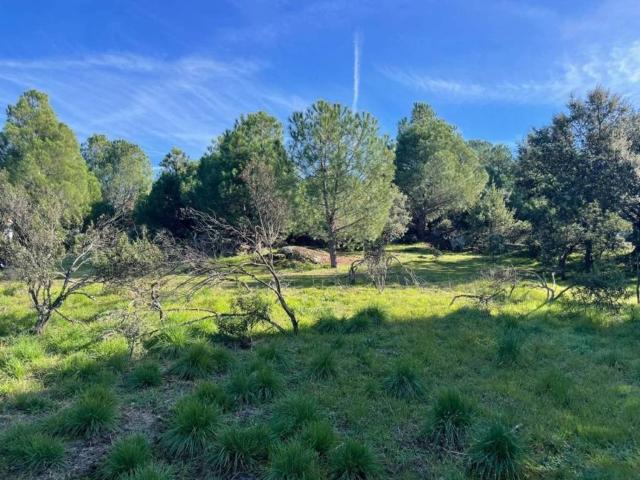 Terreno en venta en Galapagar, Madrid