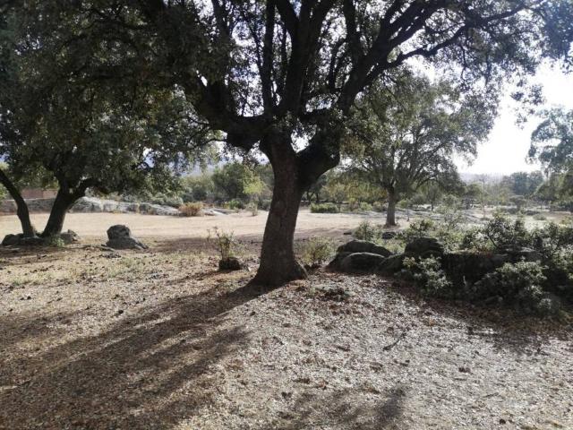 Terreno en venta en Galapagar, Madrid