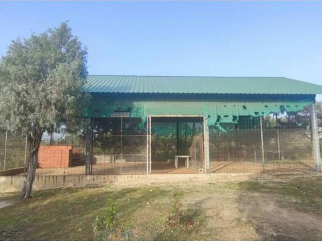 Terreno en venta en Galapagar, Madrid