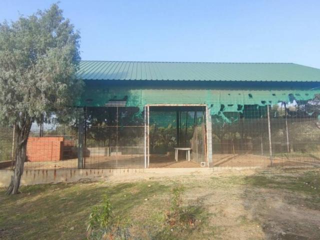 Terreno en venta en Galapagar Terreno en venta en Galapagar