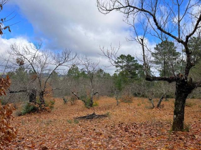 Terreno en venta en Sierra de Huelva, Andalucía