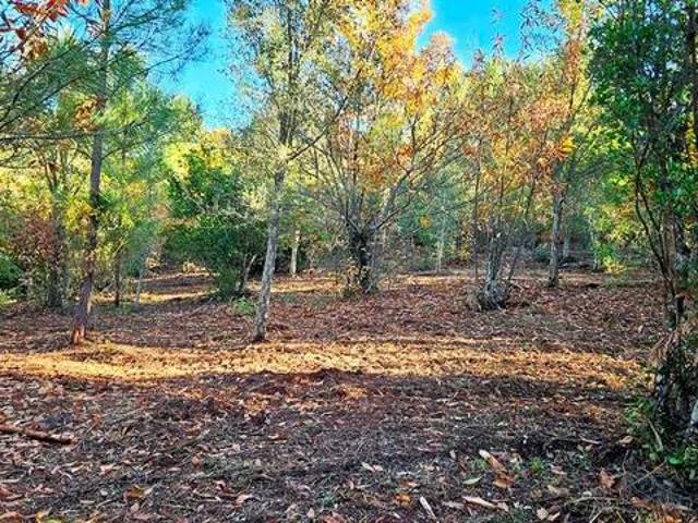 Terreno en venta en Sierra de Huelva, Andalucía