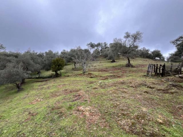 Terreno en venta en Sierra de Huelva, Andalucía