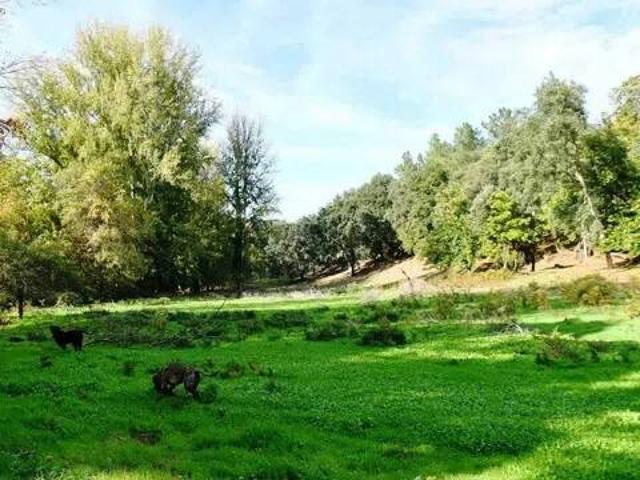 Terreno en venta en Sierra de Huelva, Andalucía