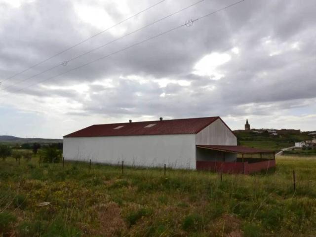 Terreno en venta en Galisteo, Extremadura