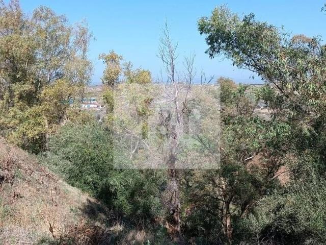 Terreno en venta en Galisteo, Extremadura
