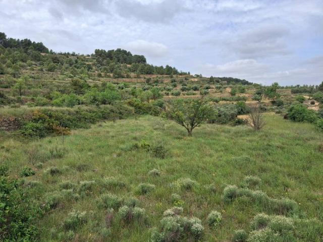 Terreno en venta en Terra Alta, Catalunya