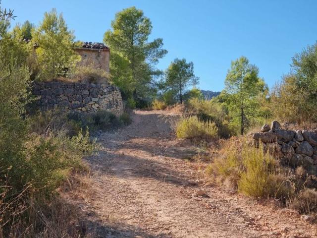 Terreno en venta en Gandesa, Tarragona