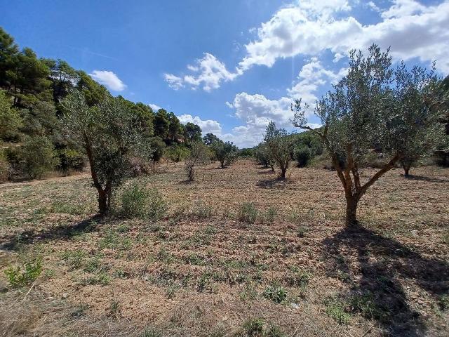 Terreno en venta en Gandesa, Tarragona