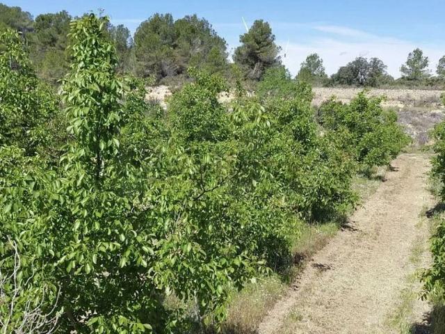 Terreno en venta en Terra Alta, Catalunya