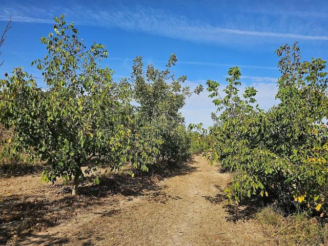 Terreno en venta en Gandesa, Tarragona