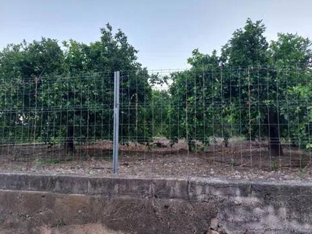 Terreno en venta en la Safor, Valencia