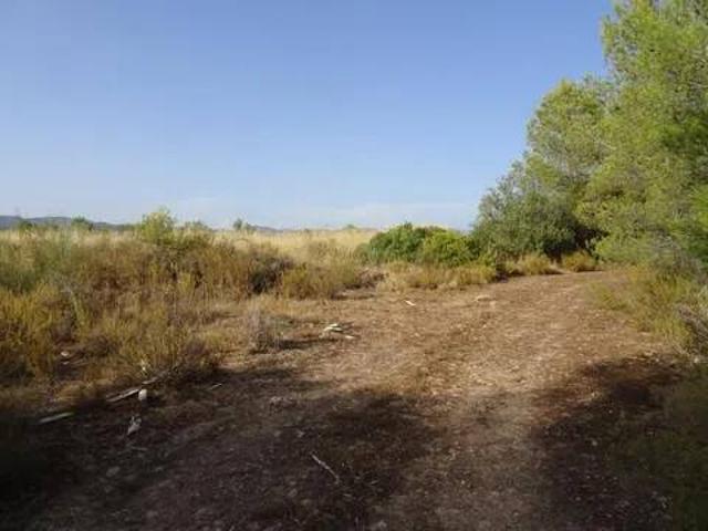 Terreno en venta en Ribera d'Ebre, Catalunya