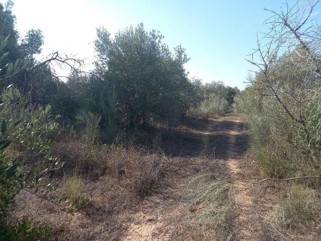 Terreno en venta en Ribera d'Ebre, Catalunya