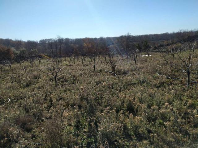 Terreno en venta en Gargüera, Extremadura