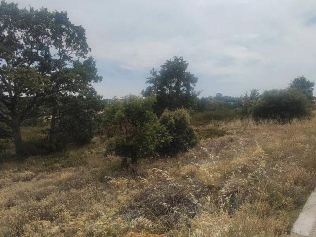 Terreno en venta en Garrafe De Torío, Castilla y León
