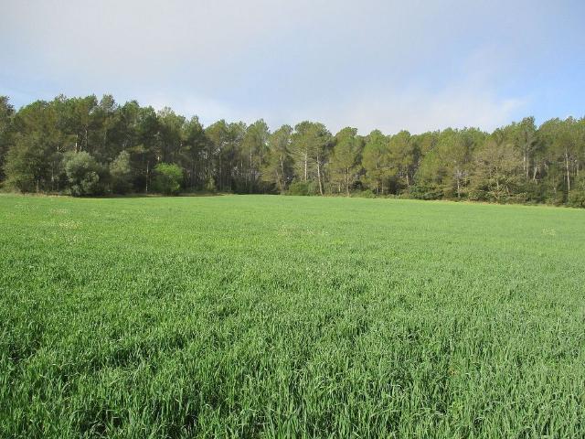 Terreno en venta en Alt Empordà, Catalunya