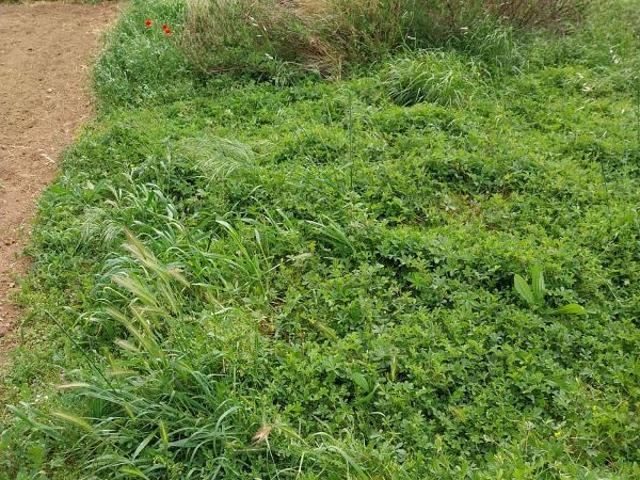 Terreno en venta en Garrigàs