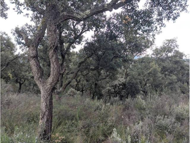 Terreno en venta en Alt Empordà, Catalunya