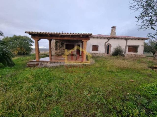 Terreno en venta en Garrovillas De Alconétar, Extremadura