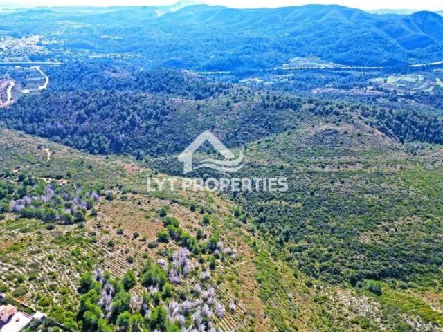Terreno en venta en la Marina Alta, Valencia