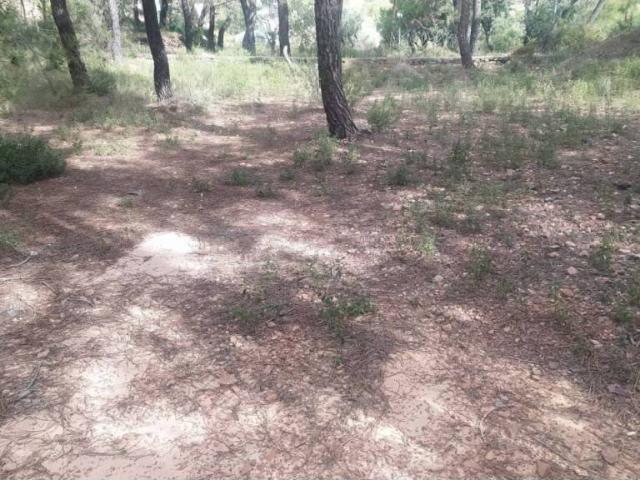 Terreno en venta en el Camp de Túria, Valencia