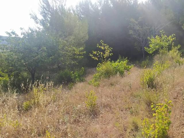 Terreno en venta en Gátova, València / Valencia