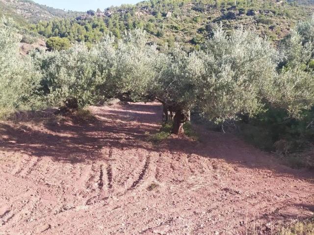 Terreno en venta en Gátova, València / Valencia