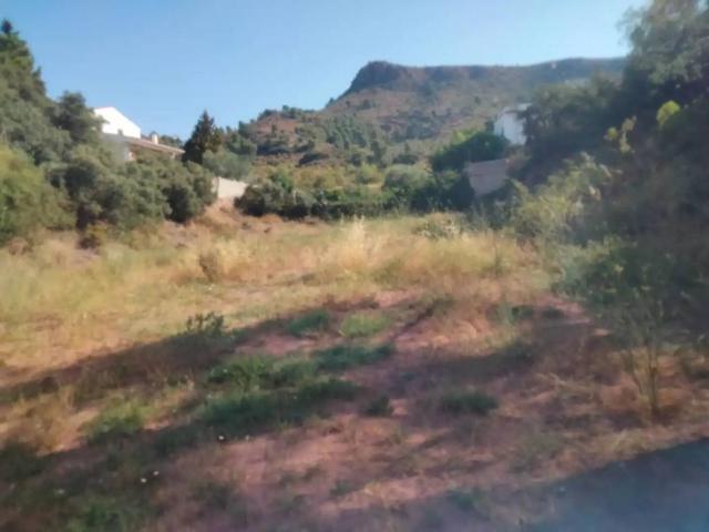 Terreno en venta en el Camp de Túria, Valencia