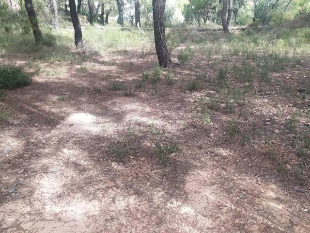 Terreno en venta en Gátova, València / Valencia