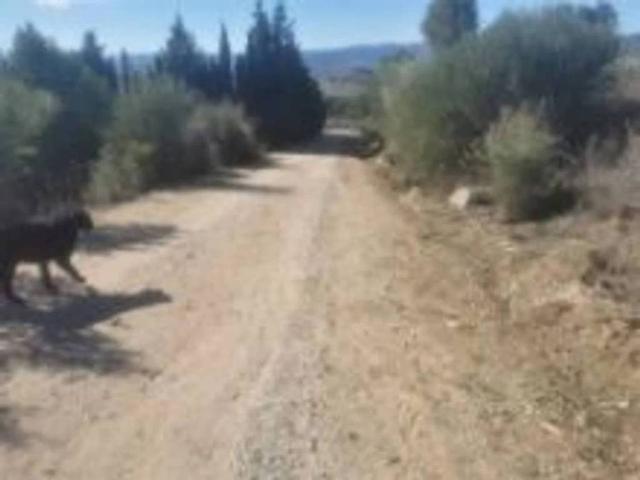 Terreno en venta en Serranía de Ronda, Andalucía