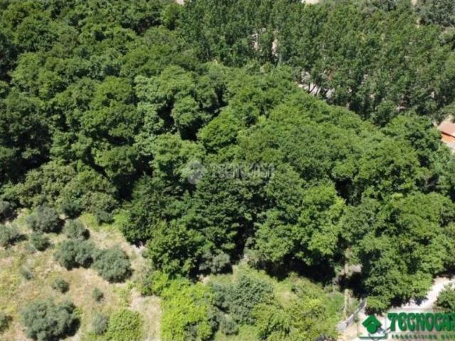 Terreno en venta en Gavilanes, Castilla y León