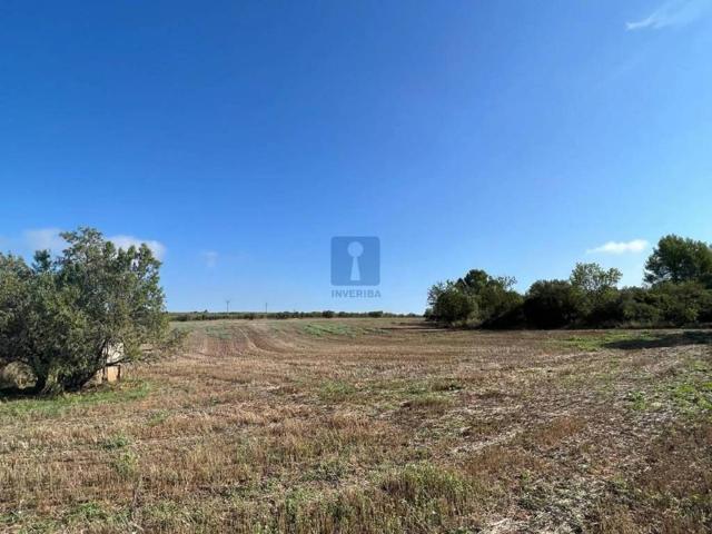 Terreno en venta en Alt Penedès, Catalunya
