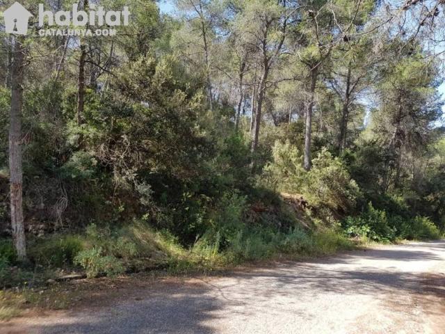 Terreno en venta en Alt Penedès, Catalunya