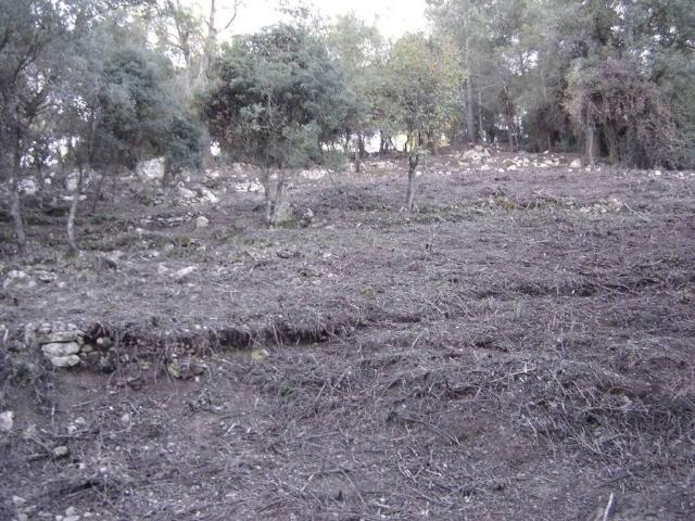 Terreno en venta en Alt Penedès, Catalunya